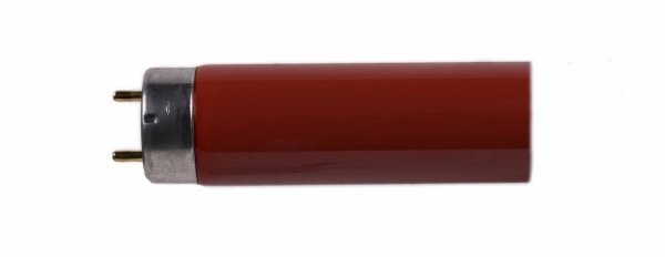 Osram L 36W 60 rood 1200mm