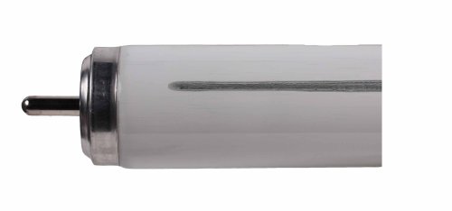 SL TL-X XL 65W kleur 33-640 1521.0mm Fa6