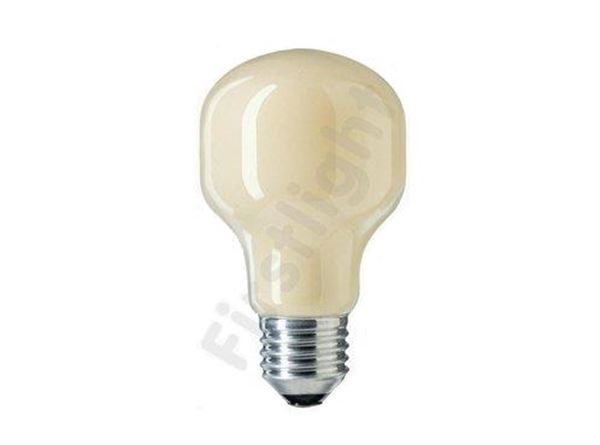 roekeloos bijvoorbeeld vreemd Philips softone lamp 60W E27 230V T55 flame beige | First Light