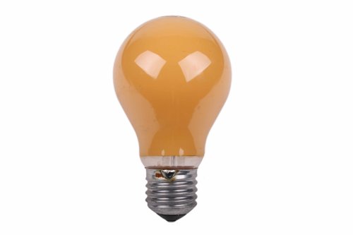 Normaallamp 60W E27 230V oranje