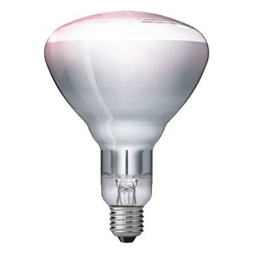 Philips 250 IR lamp 250W E27 230V R125 CL helder