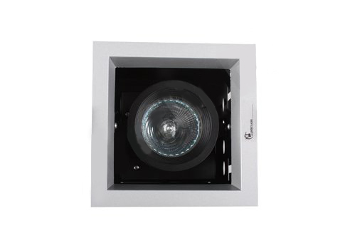 Inbouw halogeen armatuur cardanisch zilvergrijs 1x50W MR16